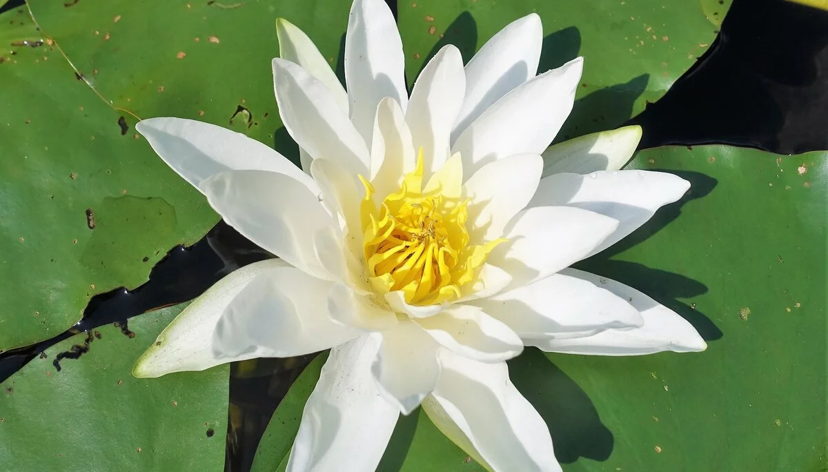 © DAV Bergbund/Neubecker