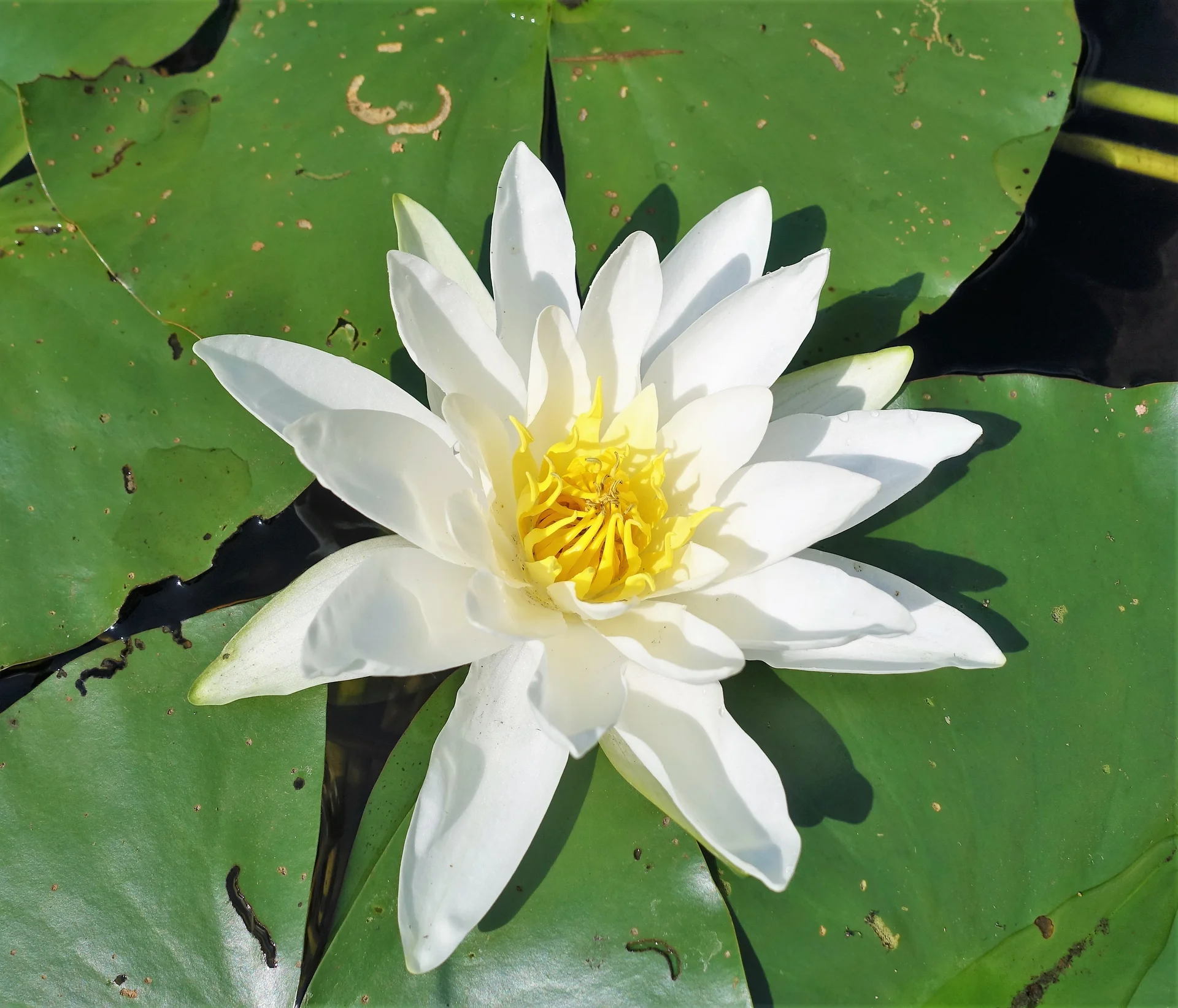 © DAV Bergbund/Neubecker