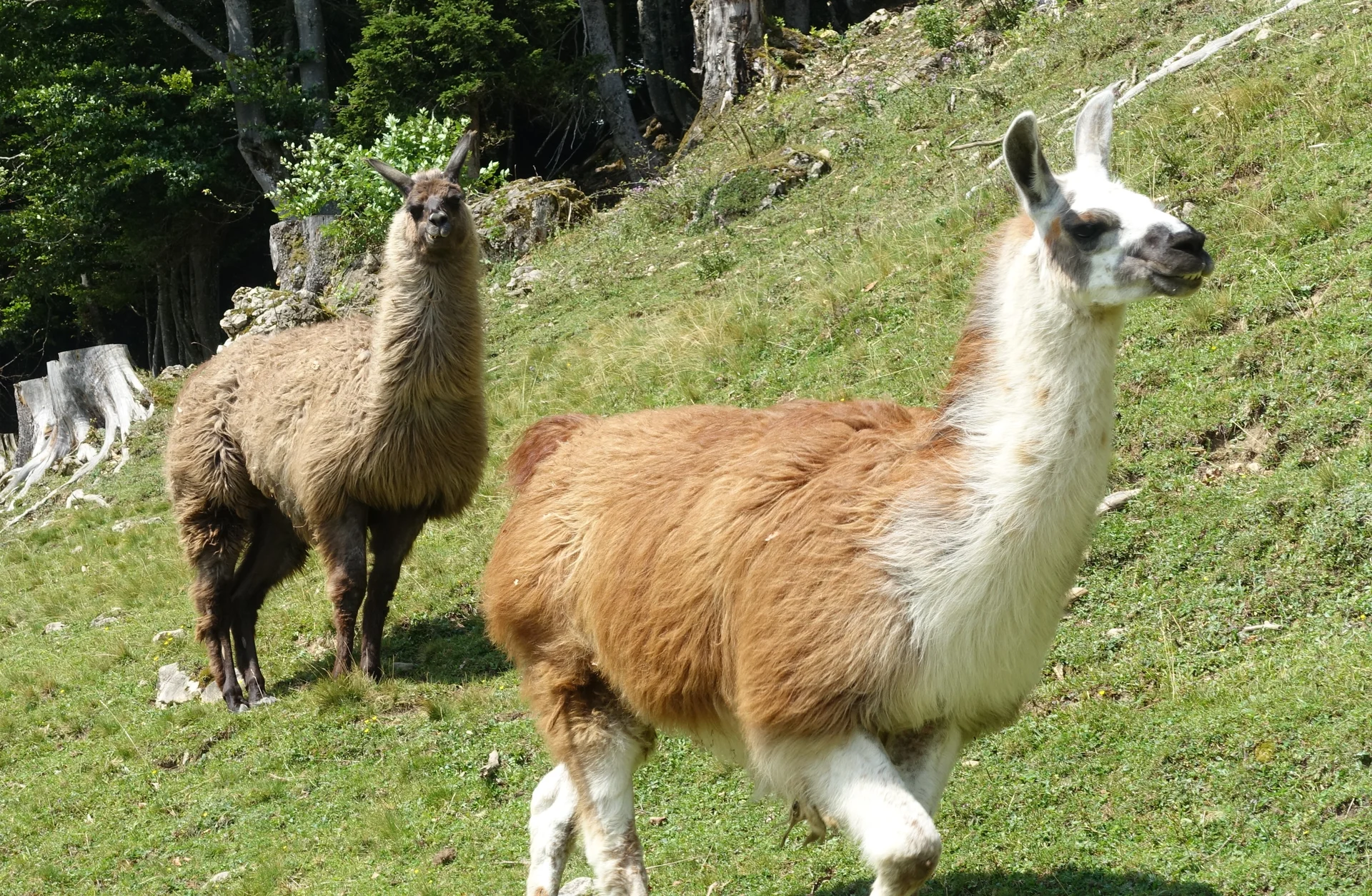 © DAV Bergbund/Neubecker