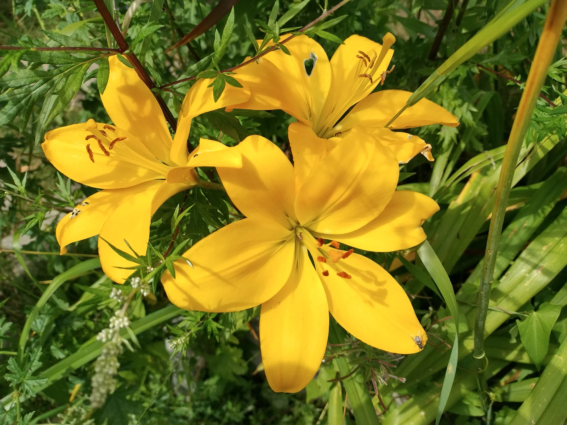 © DAV Bergbund/Neubecker