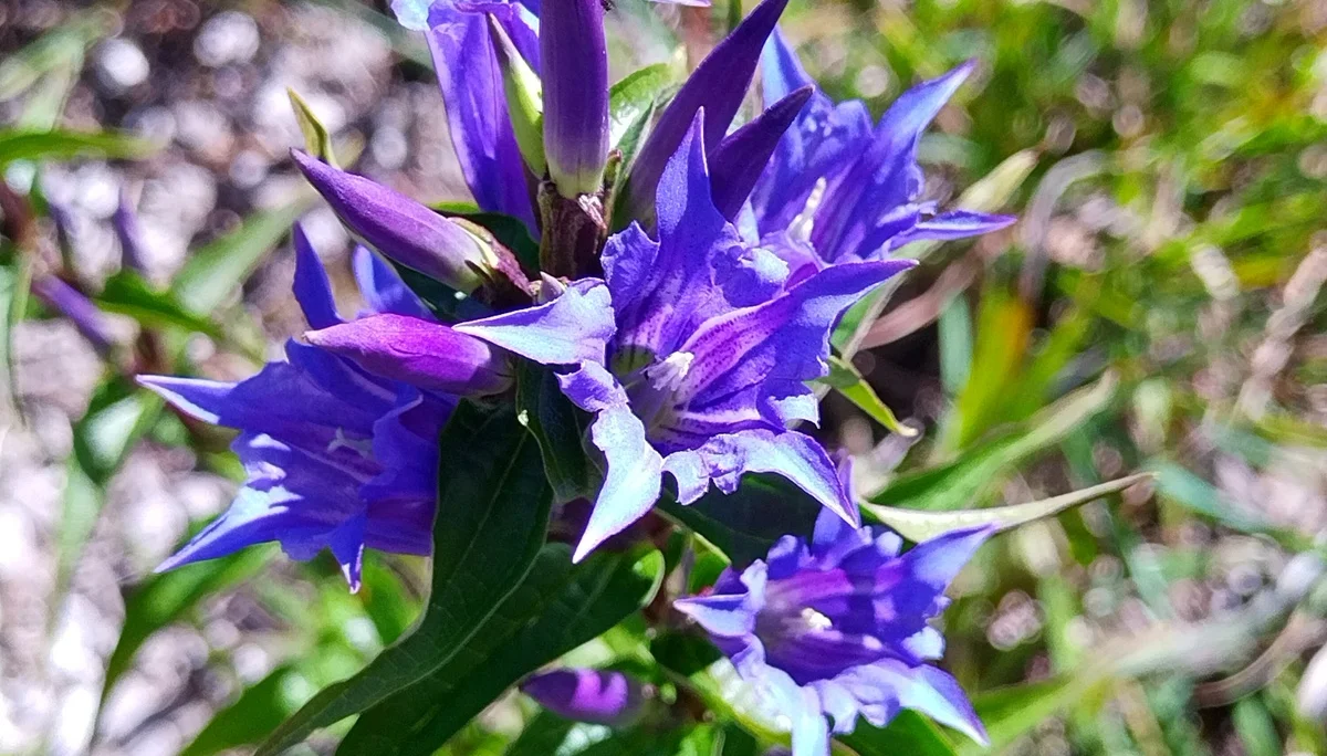 © DAV Bergbund/Neubecker