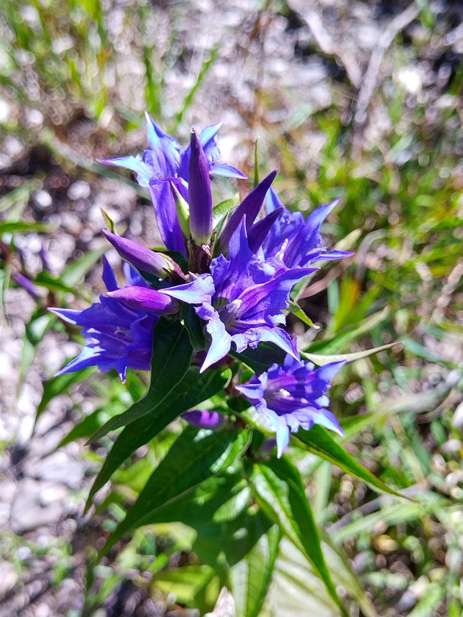 © DAV Bergbund/Neubecker