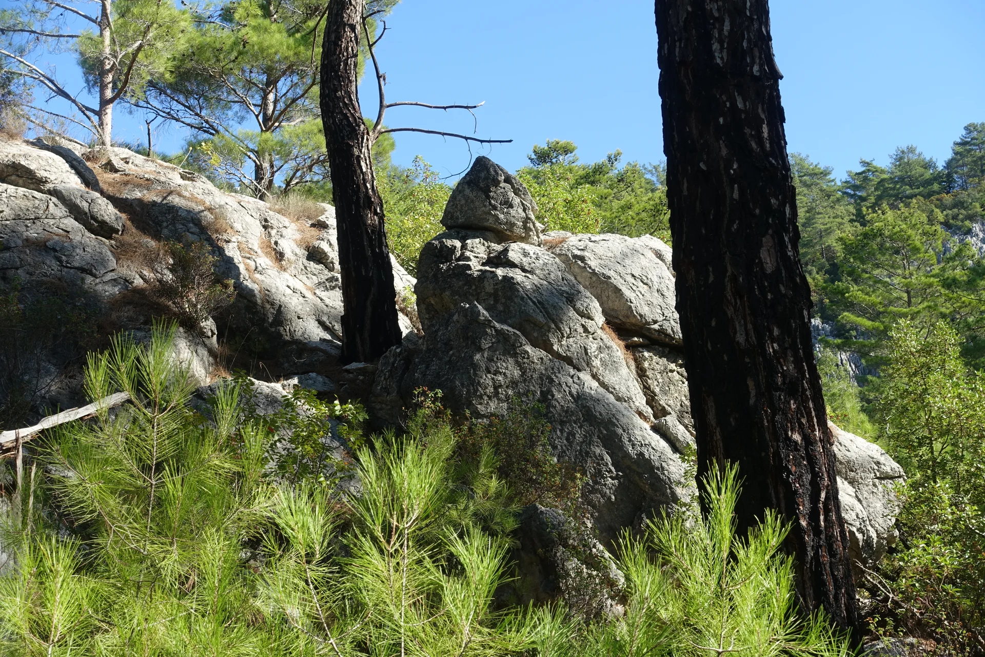 © DAV Bergbund/Neubecker