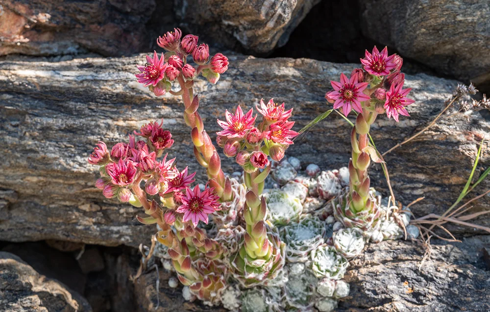 © DAV Bergbund/Tiefenthaler