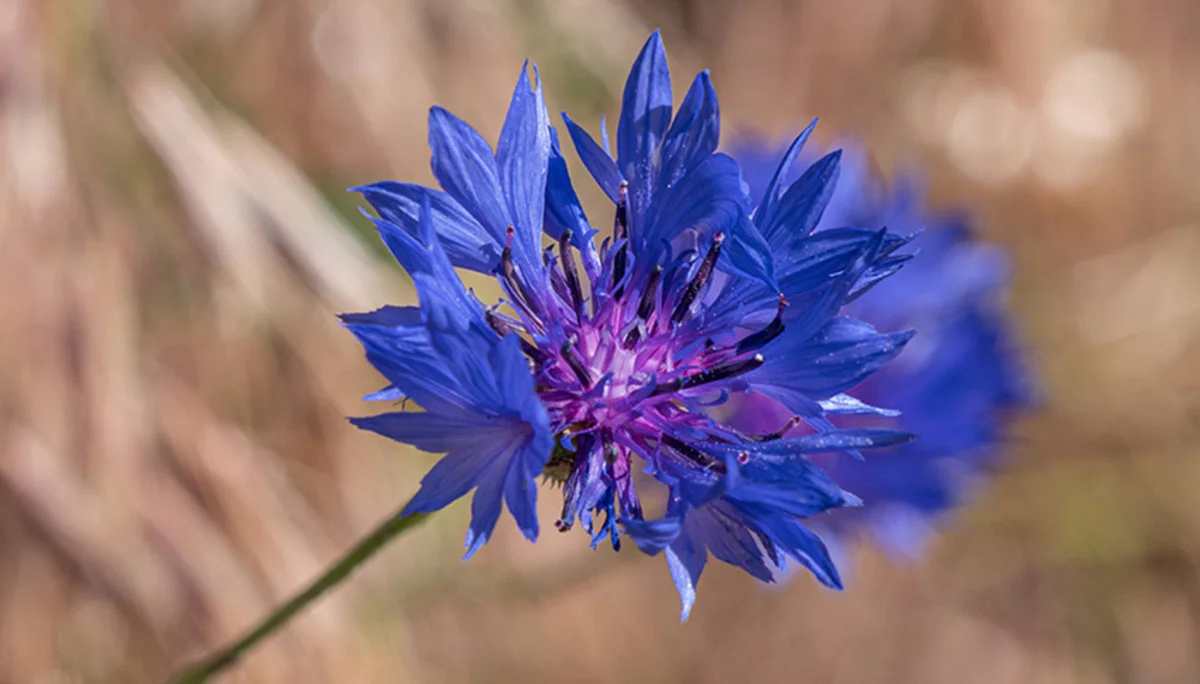 © DAV Bergbund/Tiefenthaler