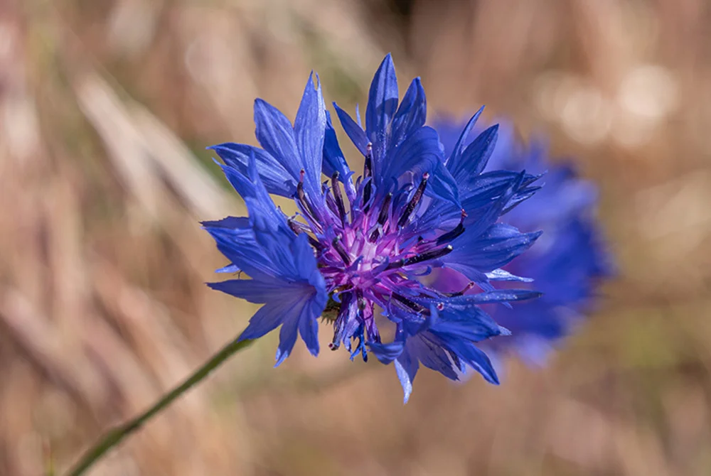 © DAV Bergbund/Tiefenthaler