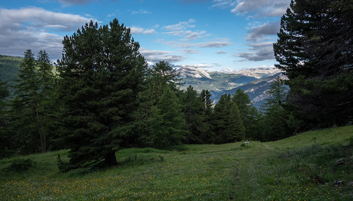 © DAV Bergbund/Tiefenthaler