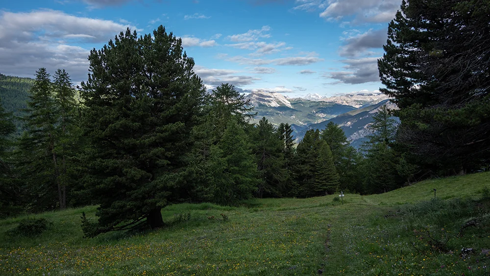 © DAV Bergbund/Tiefenthaler