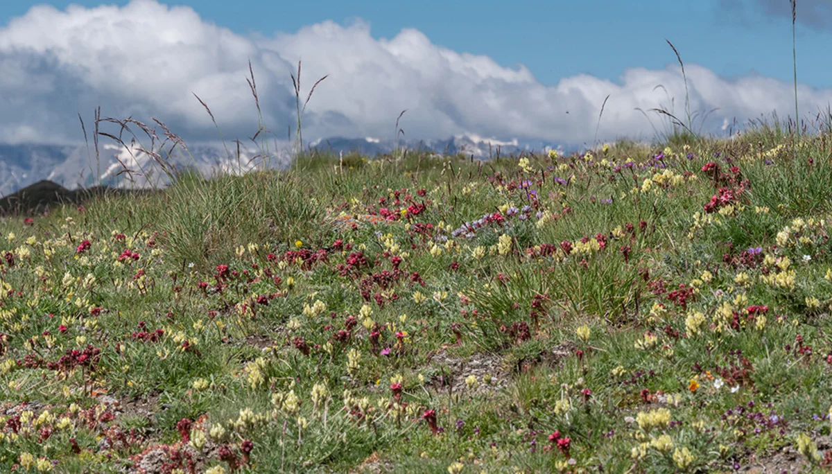 © DAV Bergbund/Tiefenthaler