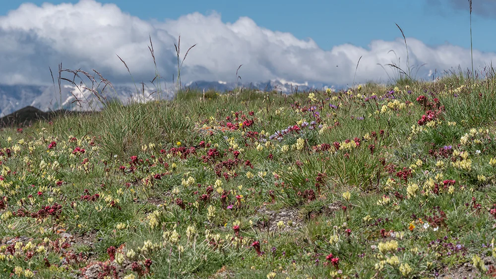 © DAV Bergbund/Tiefenthaler