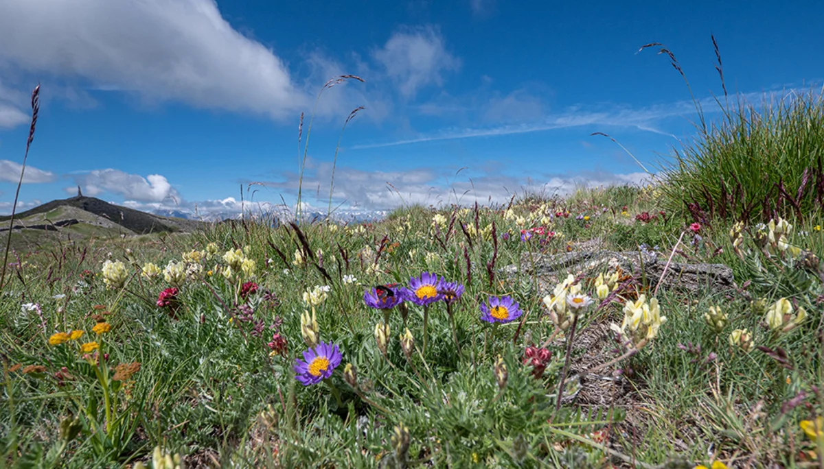 © DAV Bergbund/Tiefenthaler