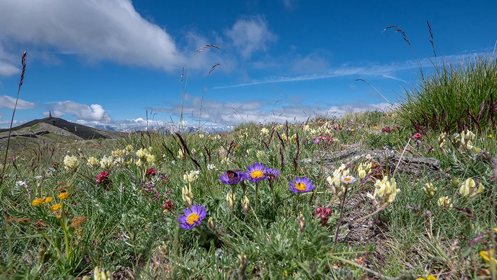 © DAV Bergbund/Tiefenthaler