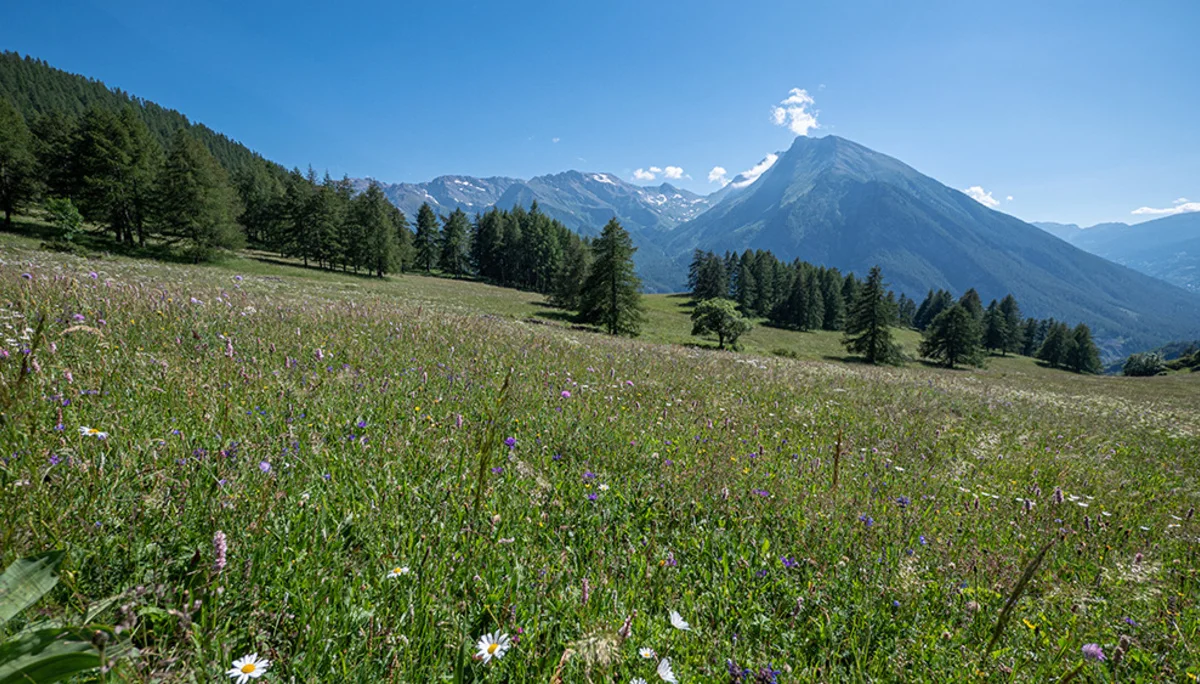 © DAV Bergbund/Tiefenthaler