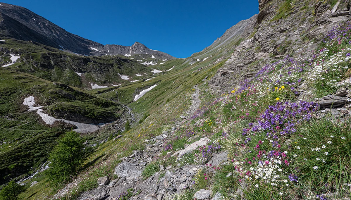 © DAV Bergbund/Tiefenthaler