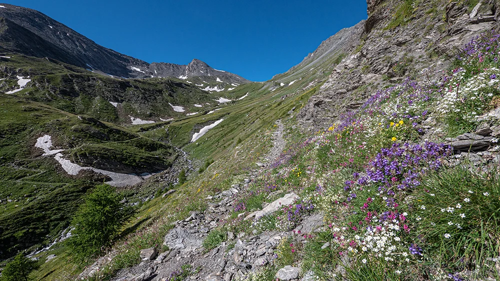 © DAV Bergbund/Tiefenthaler