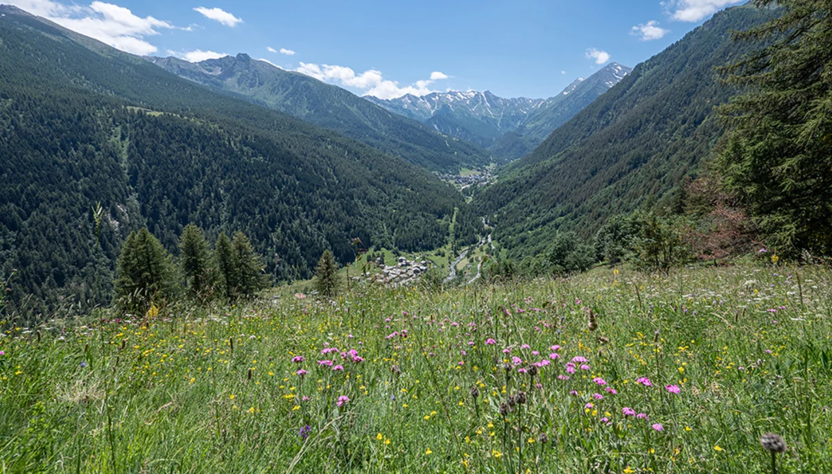 © DAV Bergbund/Tiefenthaler