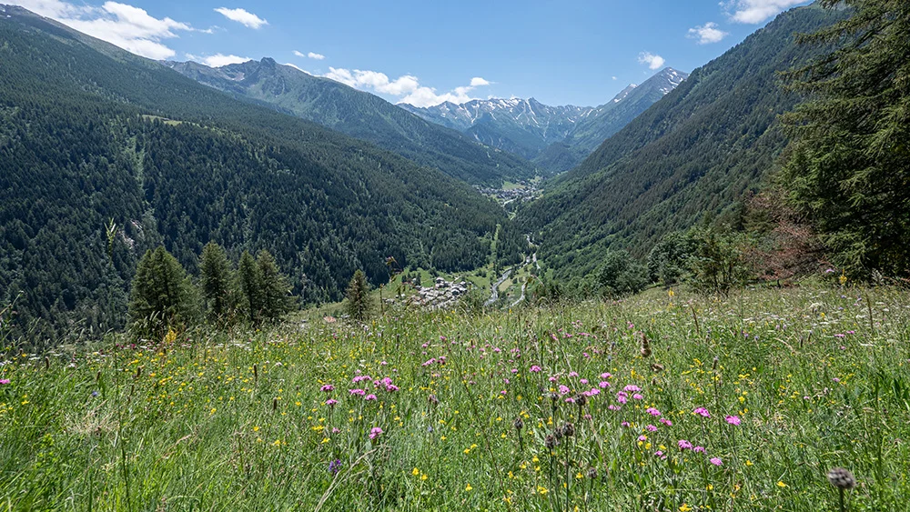 © DAV Bergbund/Tiefenthaler