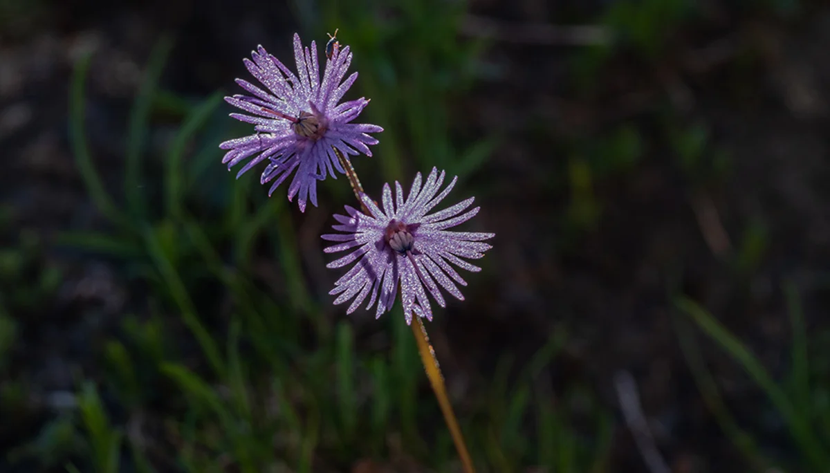 © DAV Bergbund/Tiefenthaler