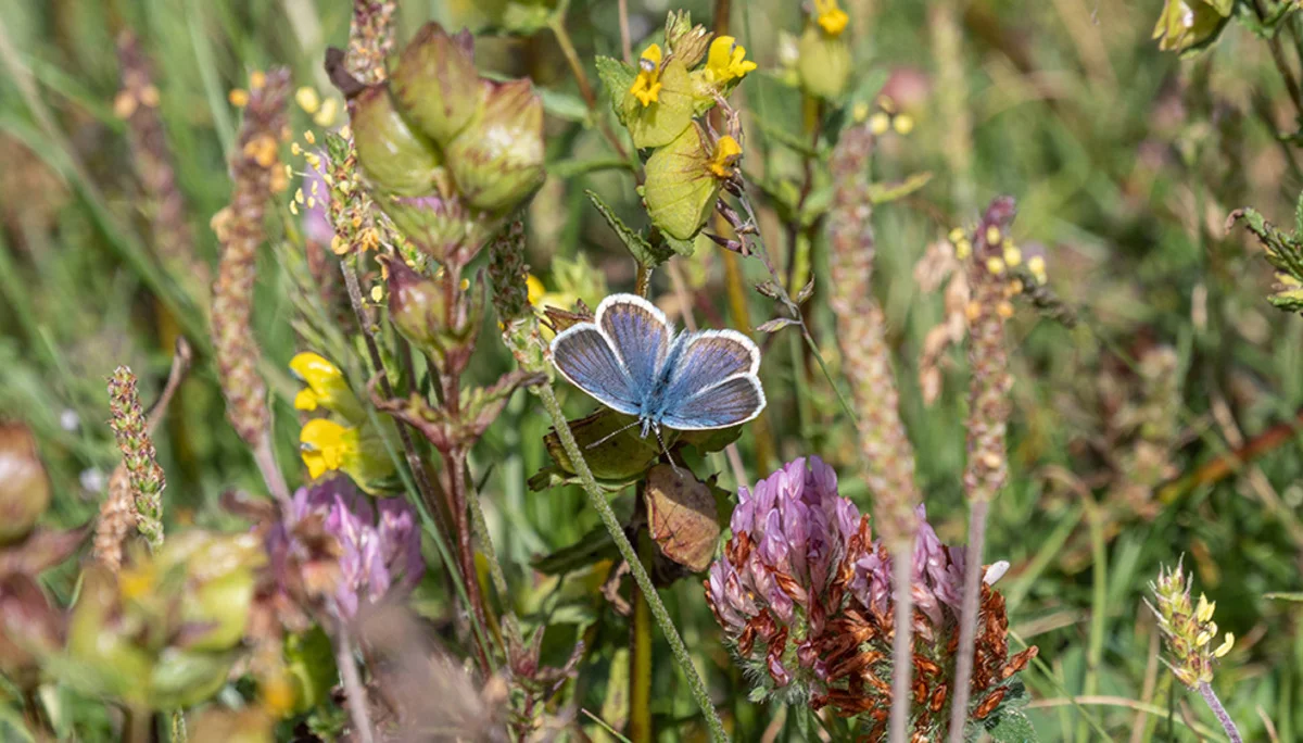 © DAV Bergbund/Tiefenthaler
