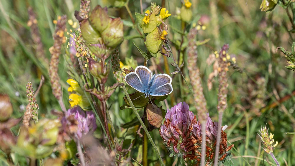 © DAV Bergbund/Tiefenthaler