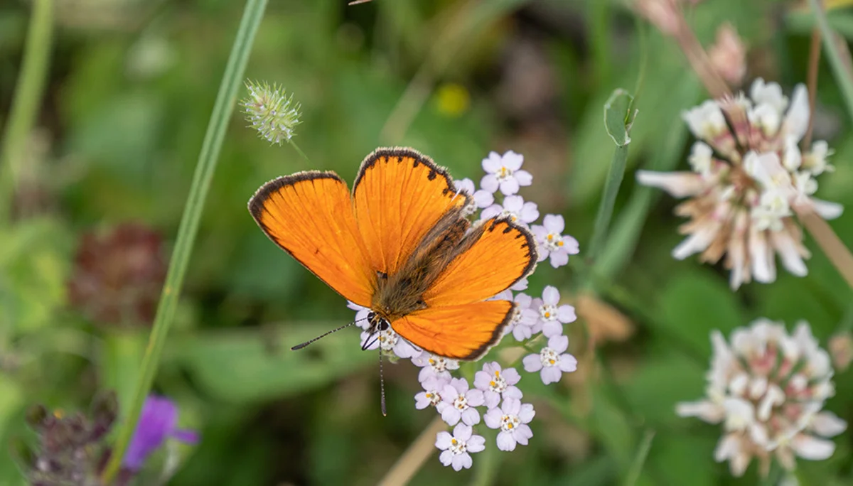 © DAV Bergbund/Tiefenthaler