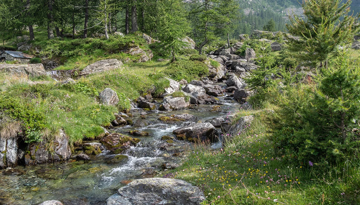 © DAV Bergbund/Tiefenthaler