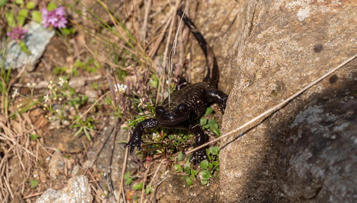 © DAV Bergbund/Tiefenthaler