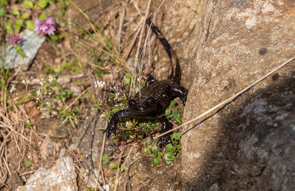 © DAV Bergbund/Tiefenthaler