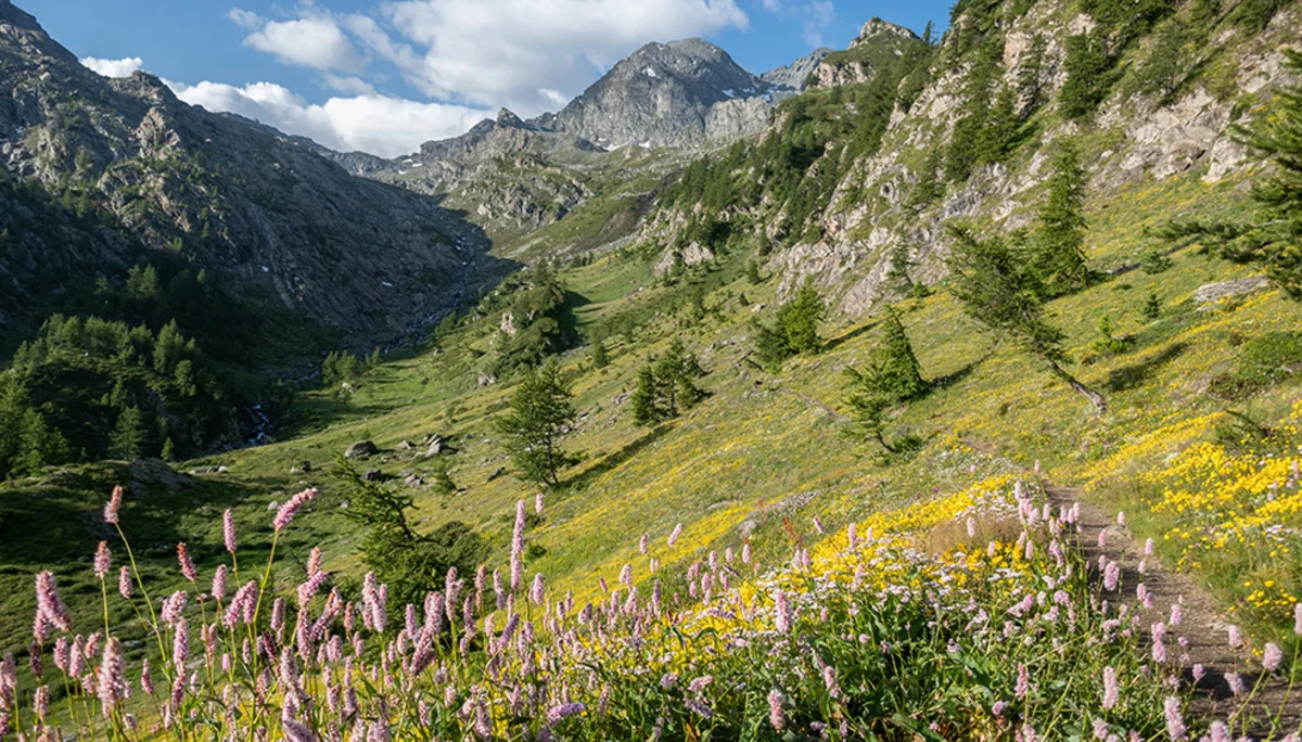 © DAV Bergbund/Tiefenthaler