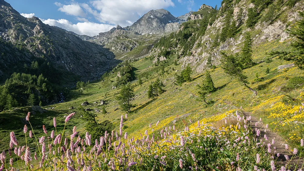 © DAV Bergbund/Tiefenthaler