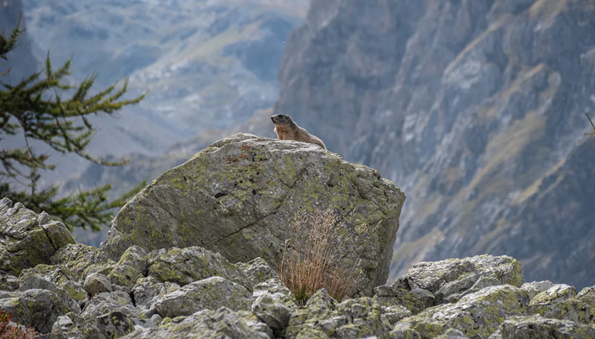 © DAV Bergbund/Tiefenthaler