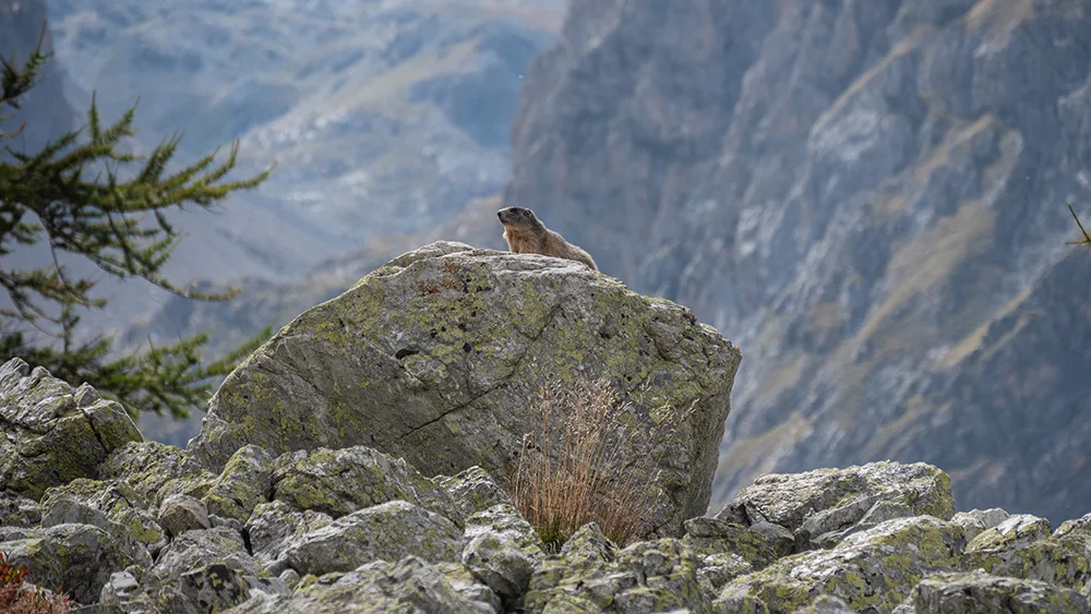 © DAV Bergbund/Tiefenthaler