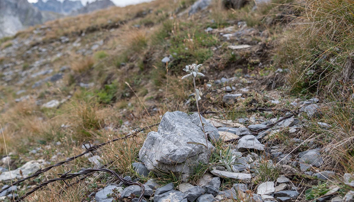 © DAV Bergbund/Tiefenthaler