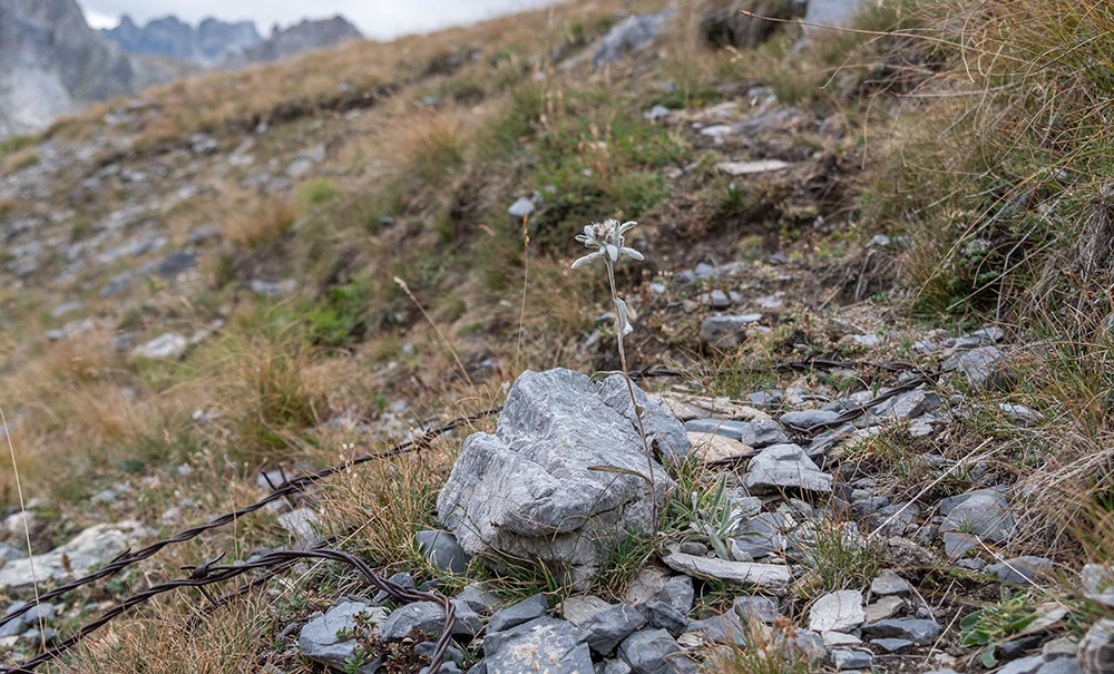 © DAV Bergbund/Tiefenthaler