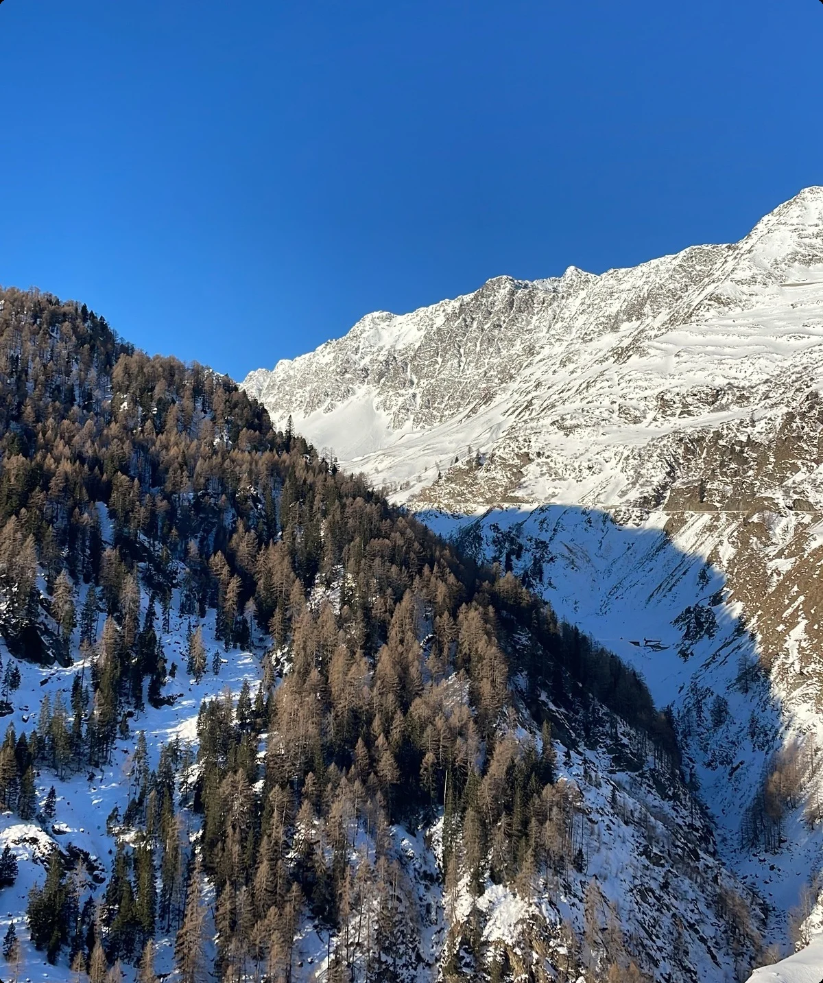 © DAV Bergbund/Stauch